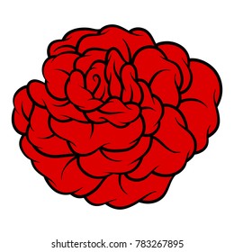 Red rose isolated on white background. Vector illustration.