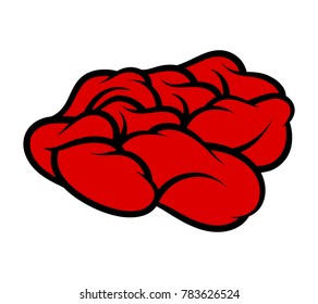 Red rose isolated on white background. Vector illustration.