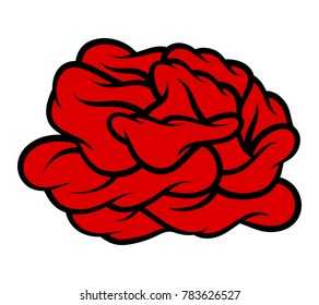 Red rose isolated on white background. Vector illustration.