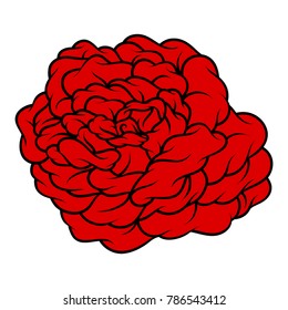 Red rose isolated on white background. Vector illustration.