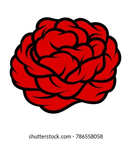 Red rose isolated on white background. Vector illustration.
