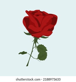 Rote Rose einzeln. Perfekte Karten für Muttertag, Valentinstag, Geburtstag, Hochzeit... 
