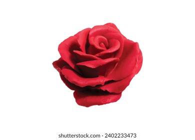 Red Rose Isolated Vector on Clear Background