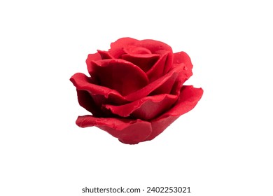 Red Rose Isolated Vector on Clear Background
