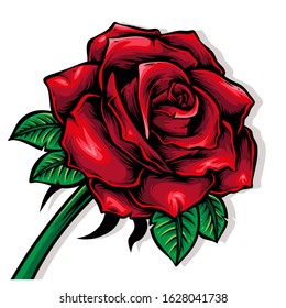 red rose with leaf vector illustration