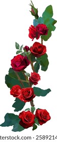 red rose leaves and branch vector59