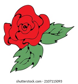 Red rose with leaves hand drawn in doodle style