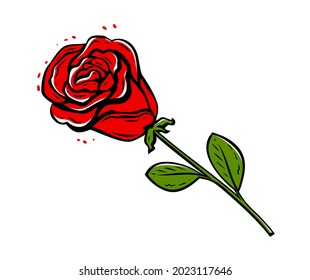 Red rose with leaves isolated on white background. Flower vector illustration