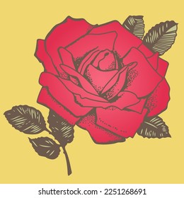 red rose with leaves vector illustration