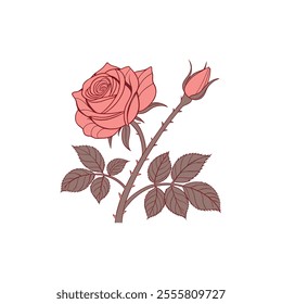  Red rose with leaves, Vector illustration.