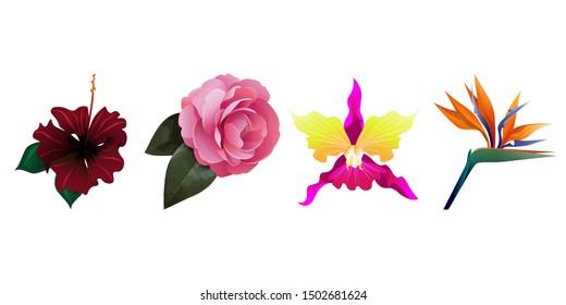 Red Rose Mallow. Pink Balsam. Pink Orchid. Orange Strelitzia Reginae. Vector illustration. Isolated illustration element. Floral botanical flower. Wild leaf wildflower isolated. Exotic tropical.