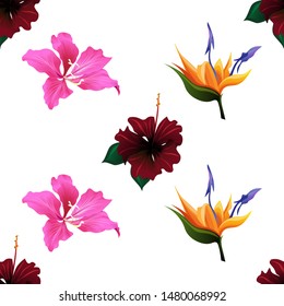 Red Rose Mallow. Pink Bauhinia Purpurea. Orange Strelitzia. Vector illustration. Seamless background pattern. Floral botanical flower. Wild leaf wildflower isolated. Exotic tropical hawaiian jungle.