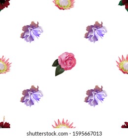 Red Rose Mallow. Pink Protea. Violet Clematis. Pink Balsam. Vector illustration. Seamless background pattern. Floral botanical flower. Wild leaf wildflower isolated. Exotic tropical hawaiian jungle.