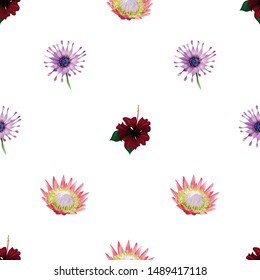 Red Rose Mallow. Purple Osteospermum Daisybush. Pink Protea. Vector illustration. Seamless background pattern. Floral botanical flower. Wild leaf wildflower isolated. Exotic tropical hawaiian.