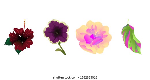 Red Rose Mallow. Violet Petunia. Yellow Magnolia. Green Dracaena. Vector illustration. Isolated illustration element. Floral botanical flower. Wild leaf wildflower isolated. Exotic tropical hawaiian.