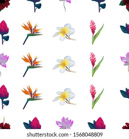 Red Rose Mallow. Red Vriesea. Purple Lotus. Orange Strelitzia Reginae. White Plumeria. Red and Pink Ginger. Vector illustration. Seamless background pattern. Floral botanical flower. Wild leaf.
