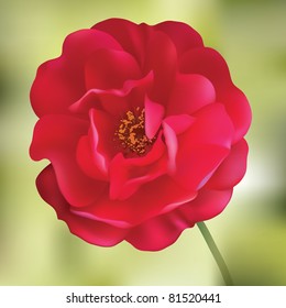 Red rose. Mesh flower
