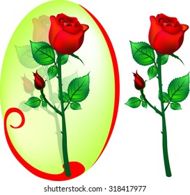 Red Rose object vector design