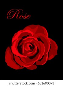 Red rose on a black background

