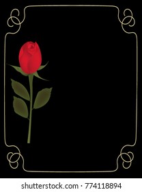 Red rose on black background with golden frame