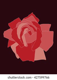 Red rose on dark background