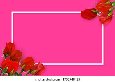 Red rose on pink background with white frame for your text - vector illustration