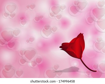 Red rose on  valentine background