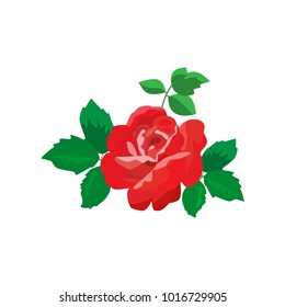 Red rose on white background. Vector illustration.