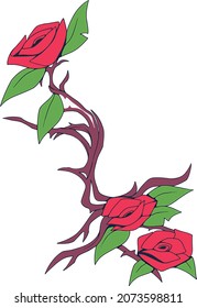 rosa rojo sobre fondo blanco