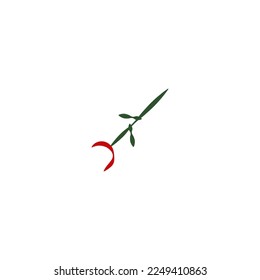Rosa roja sobre fondo blanco
