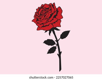 red rose on a white background. red rose. illustration of a rose.
