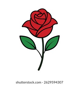 Red rose -on white background