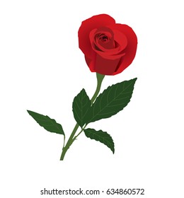 a red rose is on white background