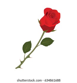 a red rose is on white background with leaves