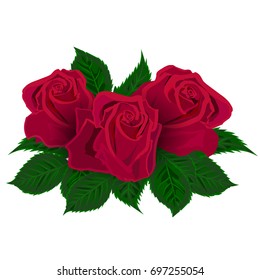 Red rose on white background.. Vector illustration