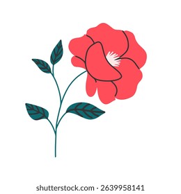 Red rose on a white isolated background. Vector hand draw illustration