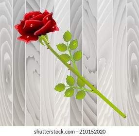 red rose on wooden texture,vector illustration