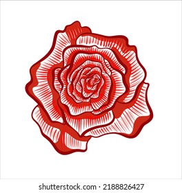 Una rosa roja. El rosebudo abierto. Ilustración estilizada de una flor. Logo, en el estilo de un boceto.