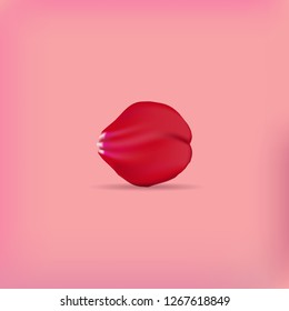 red rose petal on rose background. Vector illustration