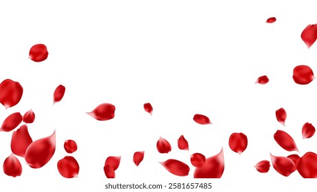 Red rose petal realistic flying falling banner background, romance and love day luxury