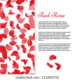 Red rose petals banner or flyer poster vector template illustration