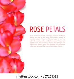 Red rose petals border isolated on white background. Realistic vector illustration. Wedding invitation or greeting card template