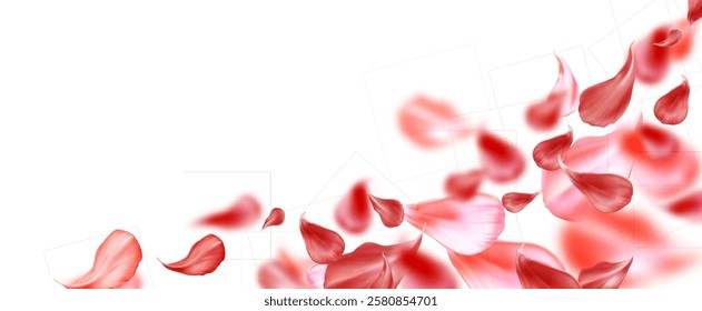 Red rose petals creating border frame with flying scattered elements on white background. Realistic motion blurred crimson floral composition for romantic card design or wedding invitation layout.