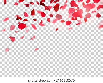 Red rose petals falling in the air on white romantic vector card. Heart wedding celebration design. Love backdrop. Stylish fashion banner. Saint Valentines Day template. All elements are isolated