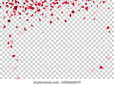 Red rose petals falling in the air on white romantic vector card. Heart wedding celebration design. Love backdrop. Stylish fashion banner. Saint Valentines Day template. All elements are isolated