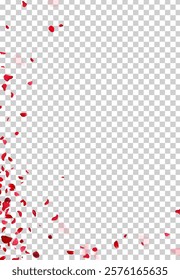 Red rose petals falling in the air on white romantic vector card. Heart wedding celebration design. Love backdrop. Stylish fashion banner. Saint Valentines Day template. All elements are isolated