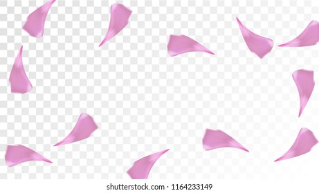 Red Rose Petals Falling Down. Isolated Vector illustration of Rose Petals. Flying Red Sakura Blossom Background. Design of Greeting or Invitation Card. 
