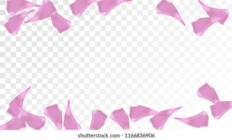 Red Rose Petals Falling Down. Isolated Vector illustration of Rose Petals. Flying Red Sakura Blossom Background. Design of Greeting or Invitation Card. 
