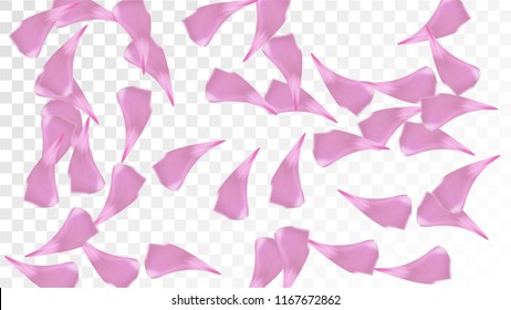 Red Rose Petals Falling Down. Isolated Vector illustration of Rose Petals. Flying Red Sakura Blossom Background. Design of Greeting or Invitation Card. 
