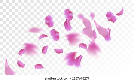 Red Rose Petals Falling Down. Isolated Vector illustration of Rose Petals. Flying Red Sakura Blossom Background. Design of Greeting or Invitation Card. 
